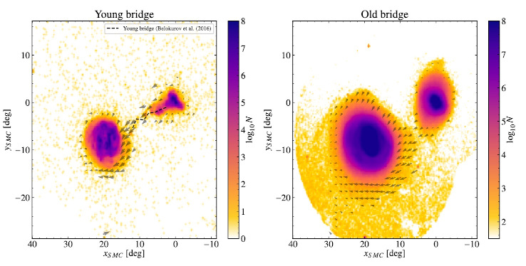 The vector fields of the proper motions in the Magellanic Clouds, for the young bridge and the old bridge.